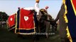 Decorated bullock cart and elephants at the procession, Jaipur