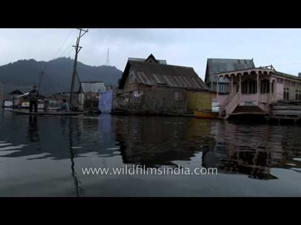 Shikara heading towards the floating market