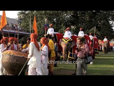 Elephant Festival - North India's most colorful fairs