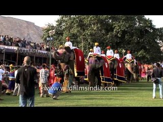 Grand parade during the Annual Elephant Festival, Jaipur