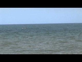 Traditional fishing boat in the middle Kanyakumari