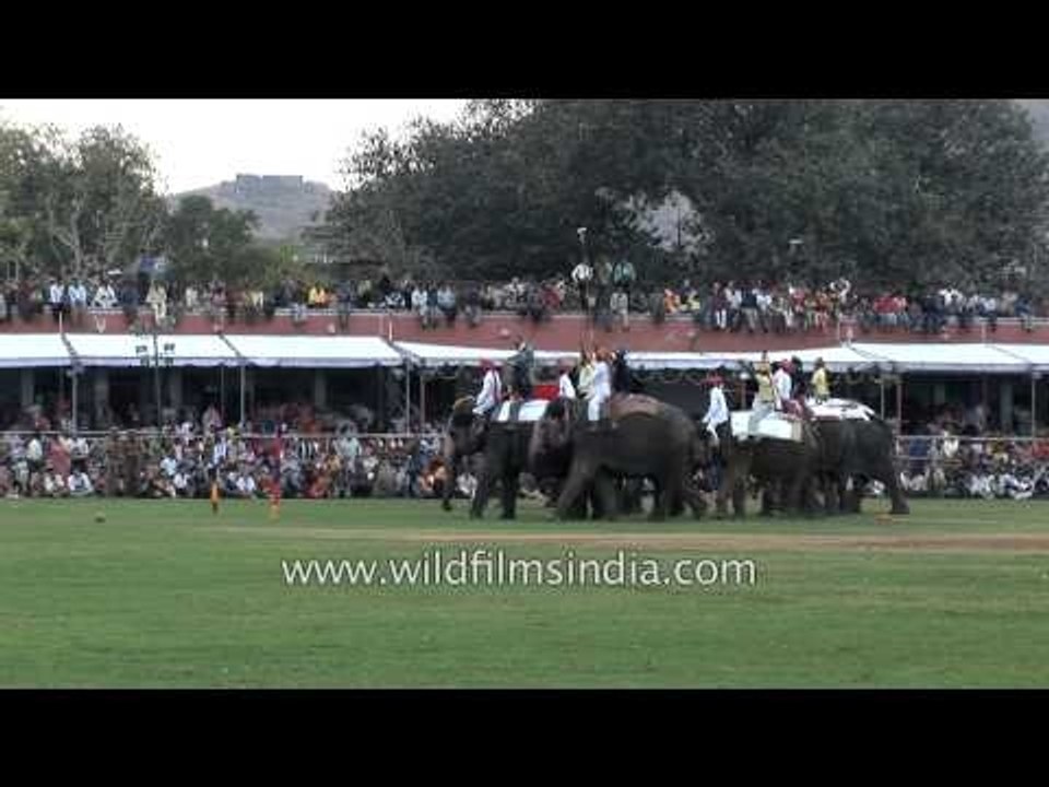 Players trying to score a goal during Elephant Polo match