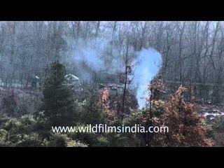 View of Dal Lake from JKTDC guest hut at Chashme Shahi, Srinagar
