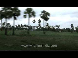 Delhi to Kerala train journey