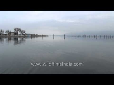 Dal Lake - The majestic lake in Srinagar