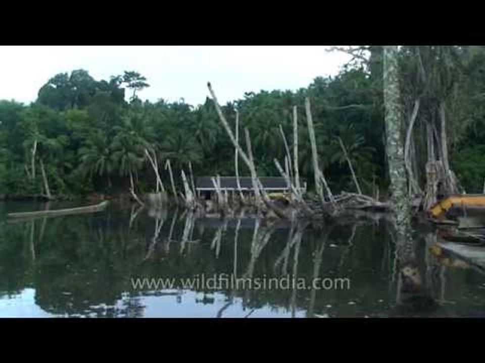 Boating through backwater estuary - Nicobar Islands