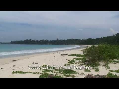 White sands and surf, azure sky and rain forests aplenty: Nicobar Islands