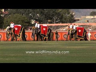 Visitors witnessing the Jaipur Elephant Festival