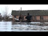 The rhythmic sound of oars in the Dal Lake