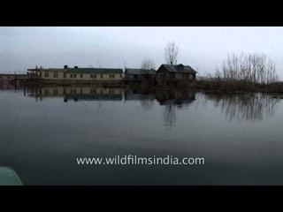 Sightseeing around Dal lake in Srinagar