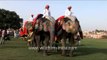 Elephant parade during the Elephant Festival, Jaipur