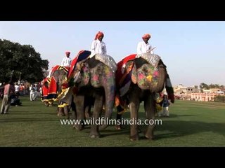 Elephant parade during the Elephant Festival, Jaipur