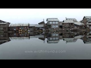 Picturesque Dal Lake in Srinagar