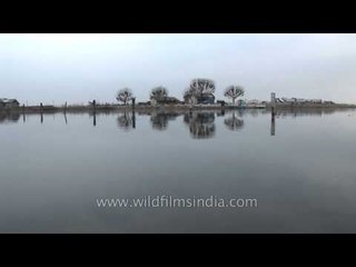 Shikara moving silently in the Dal Lake
