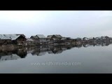 A peaceful shikara ride on the Dal Lake