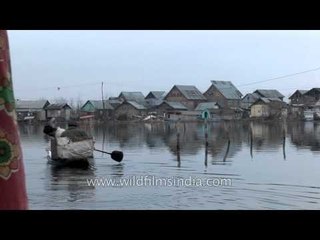 Kashmiri men sailing on a wooden boat on Dal Lake, Srinagar