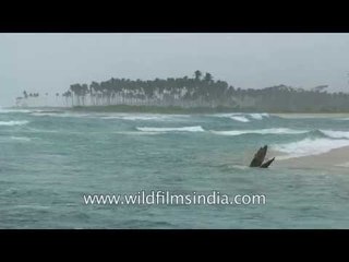 Blue-green estuary on pristine Car Nicobar Island