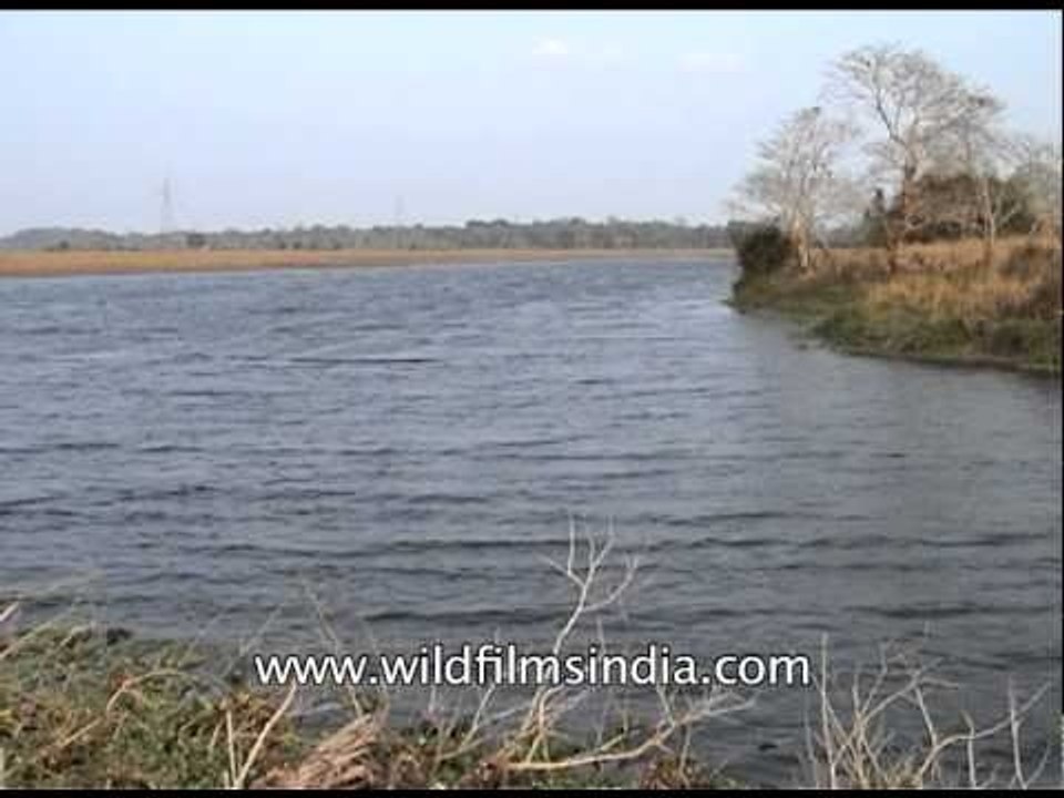 View of Pakke Tiger Reserve, Arunachal Pradesh