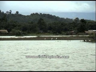 Floods plays havoc with Kaziranga National Park - Assam