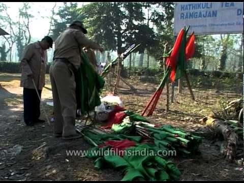 Mahouts decorating their elephants at Kaziranga Park