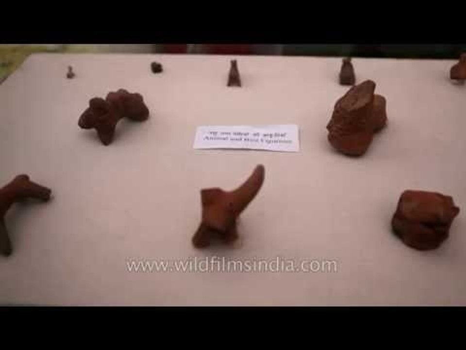 Animal and bird figurines on display at Purana Qila