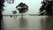 Flood hits Kaziranga Park, Assam