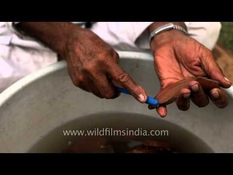 Man cleaning the mud-filled artefacts with a brush at Purana Qila