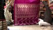 Hand crafted and hand woven Banarasi sarees from master weavers in Varanasi