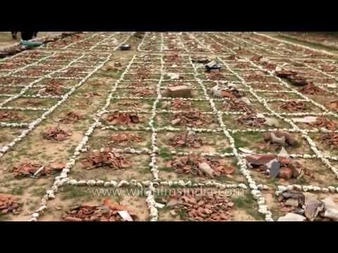 Fragments of artefacts found at Purana Qila during the excavation