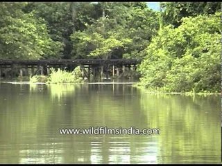Flood hits Kaziranga National Park, Assam