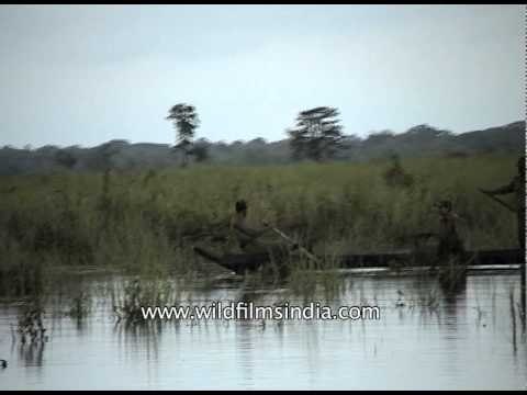 Forest rescuers sailing through the flooded water of Kaziranga, Assam