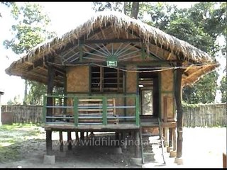 Tourist hut on stilts with bamboo furniture at Kaziranga
