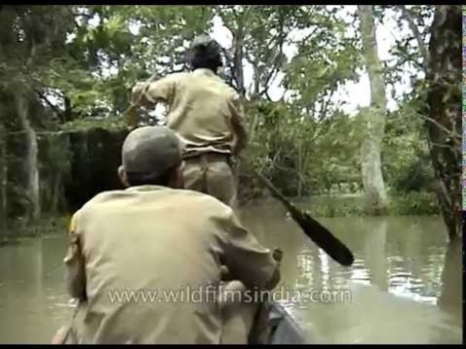 Forest guard sailing through the river inside Kaziranga National Park