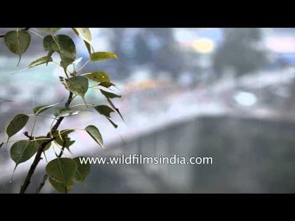 Mandi Time Lapse