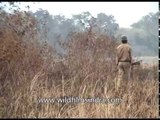 Armed rangers protect the residents Kaziranga National Park from poaching