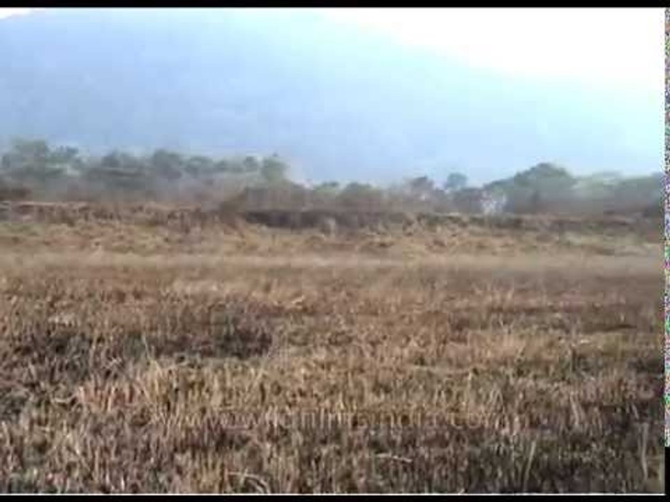 Dry grasslands at Pakke Tiger Reserve; the foothills of the Himalayas