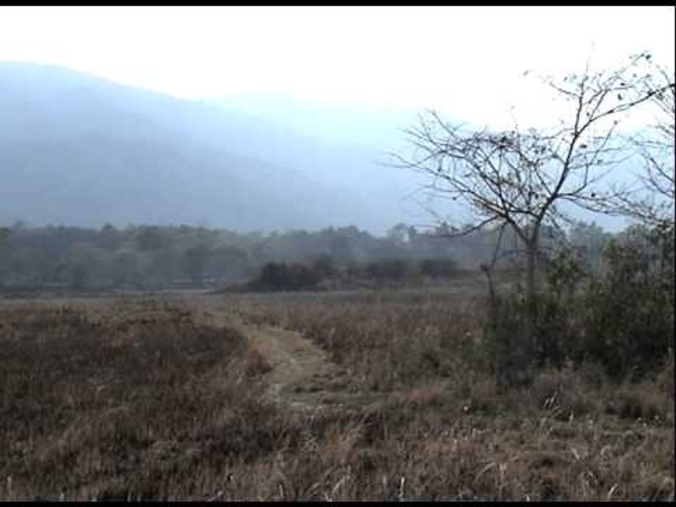 The rugged landscape of AP's Pakke Tiger Reserve