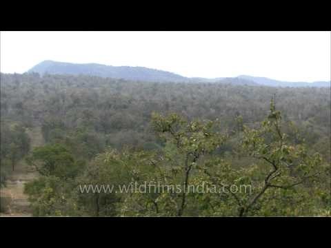 Satpura panoramic view, Madhya Pradesh