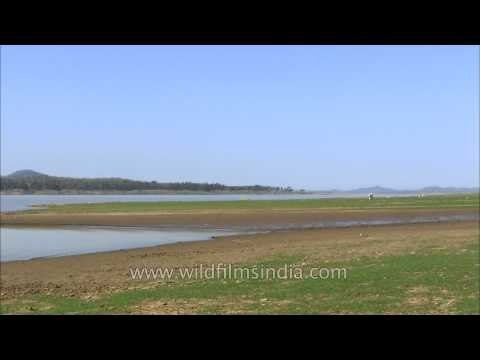 Stunning panoramic view of the River Denwa from Satpura National Park