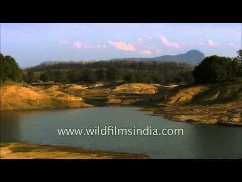 Safari trip inside the Satpura National Park