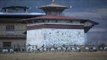 Black-necked Cranes of central Bhutan's Phobjikha valley