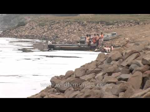 Polluted Yamuna river covered in foam
