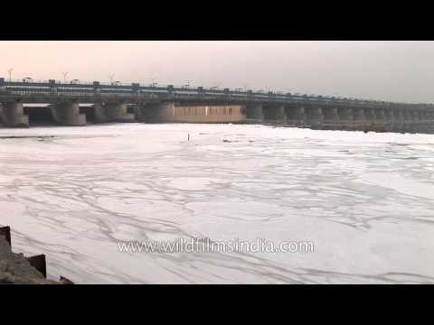 Deadly pollution foam coated Yamuna river!