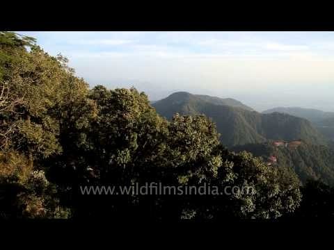 Lower hills of Mussoorie and Woodstock School, seen from Landour