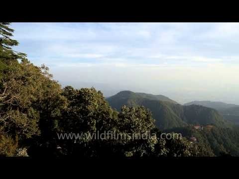 Oak forests and lower hills of Mussoorie as seen from Landour