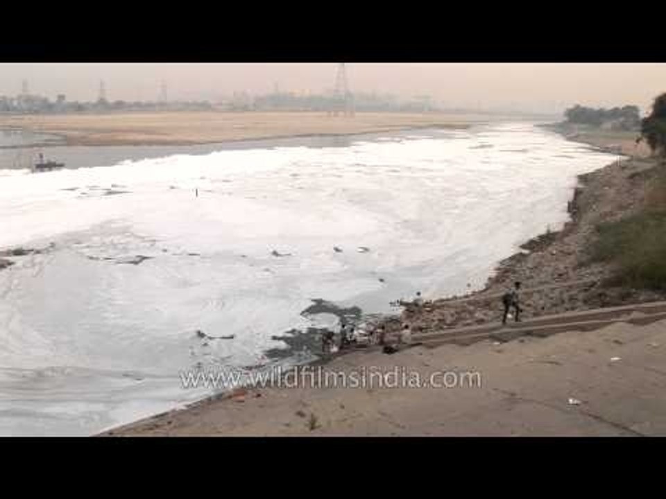 Chemical waste and other pollutants in River Yamuna