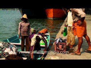 Fisherman putting his catch into a basket