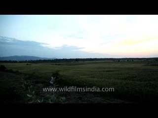 Traditional mud house and glipse of rural life in Sarangpur village