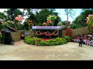Local Mizo designers showcase their creations at Anthurium Festival 2013