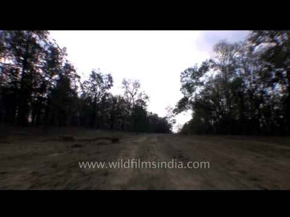 Entering the Churna forest rest house, Satpura